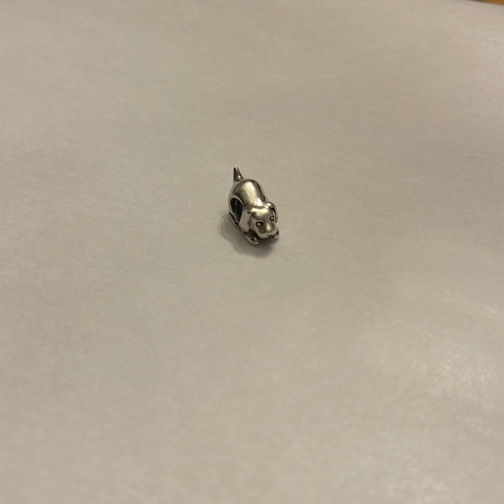 Chamilia Charm